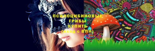 сатива Белокуриха