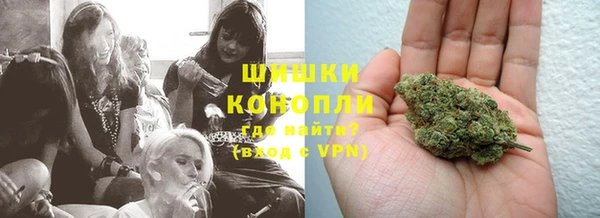 сатива Белокуриха