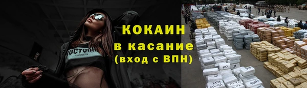 сатива Белокуриха