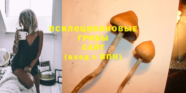 ECSTASY Белоозёрский