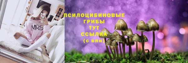 винт Сатка